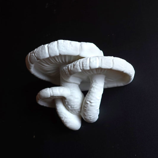 Edodes Mushroom Shelve - Cosmic Chameleon