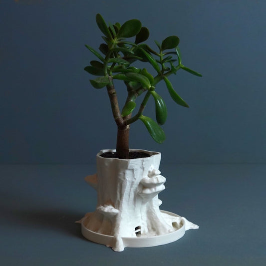 3D Printed Tree Planter
